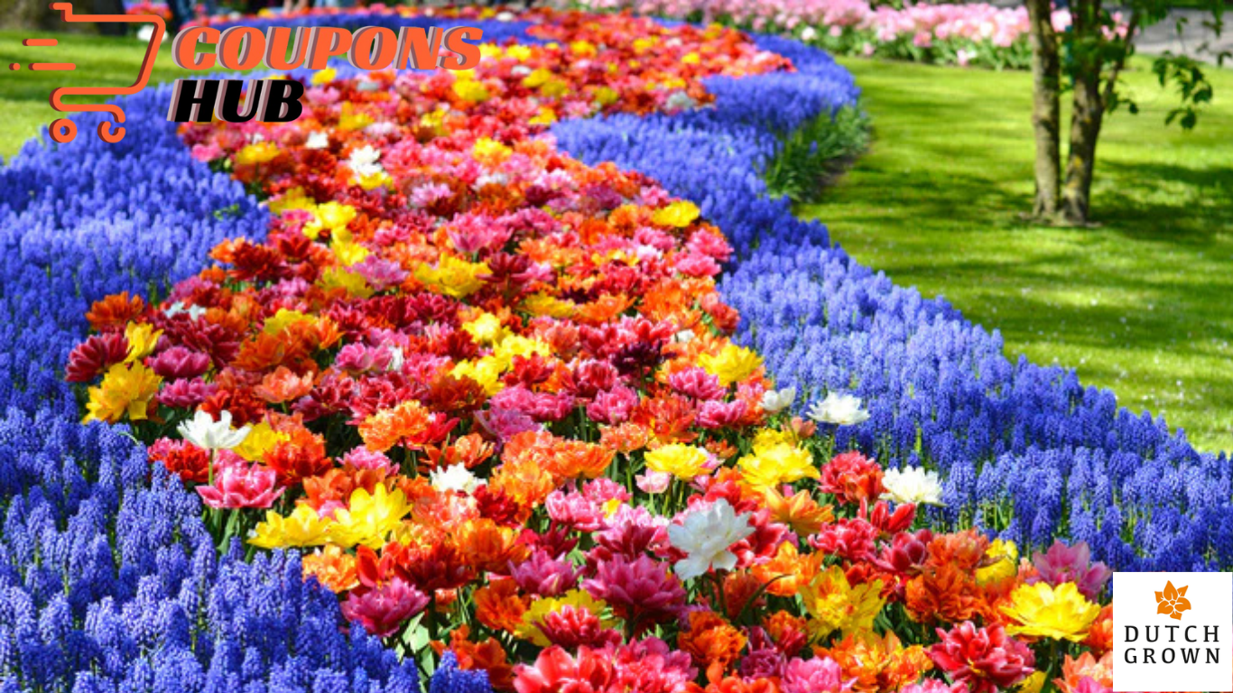 dutchgrown-discount-code